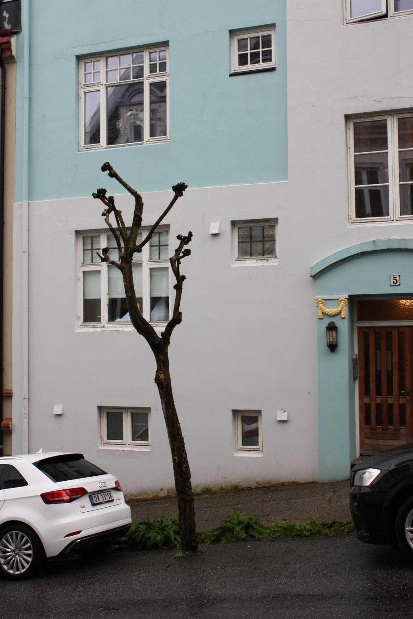 Eco W Apartment